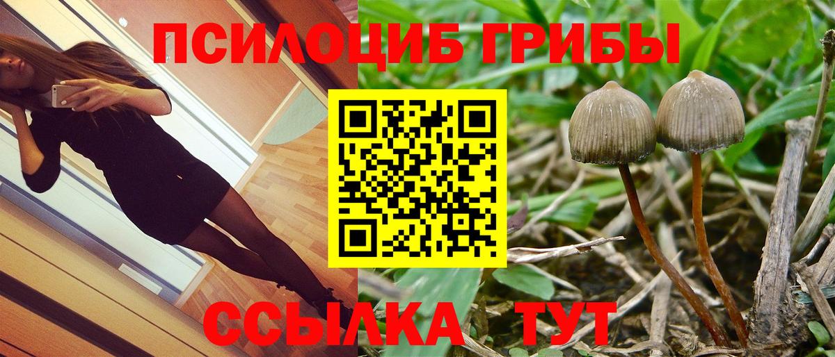 наркотики  Псилоцибиновые грибы мицелий  Вход с VPN  Моздок 
