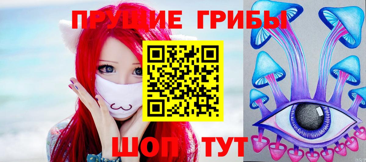 Галлюциногенные грибы GOLDEN TEACHER Моздок